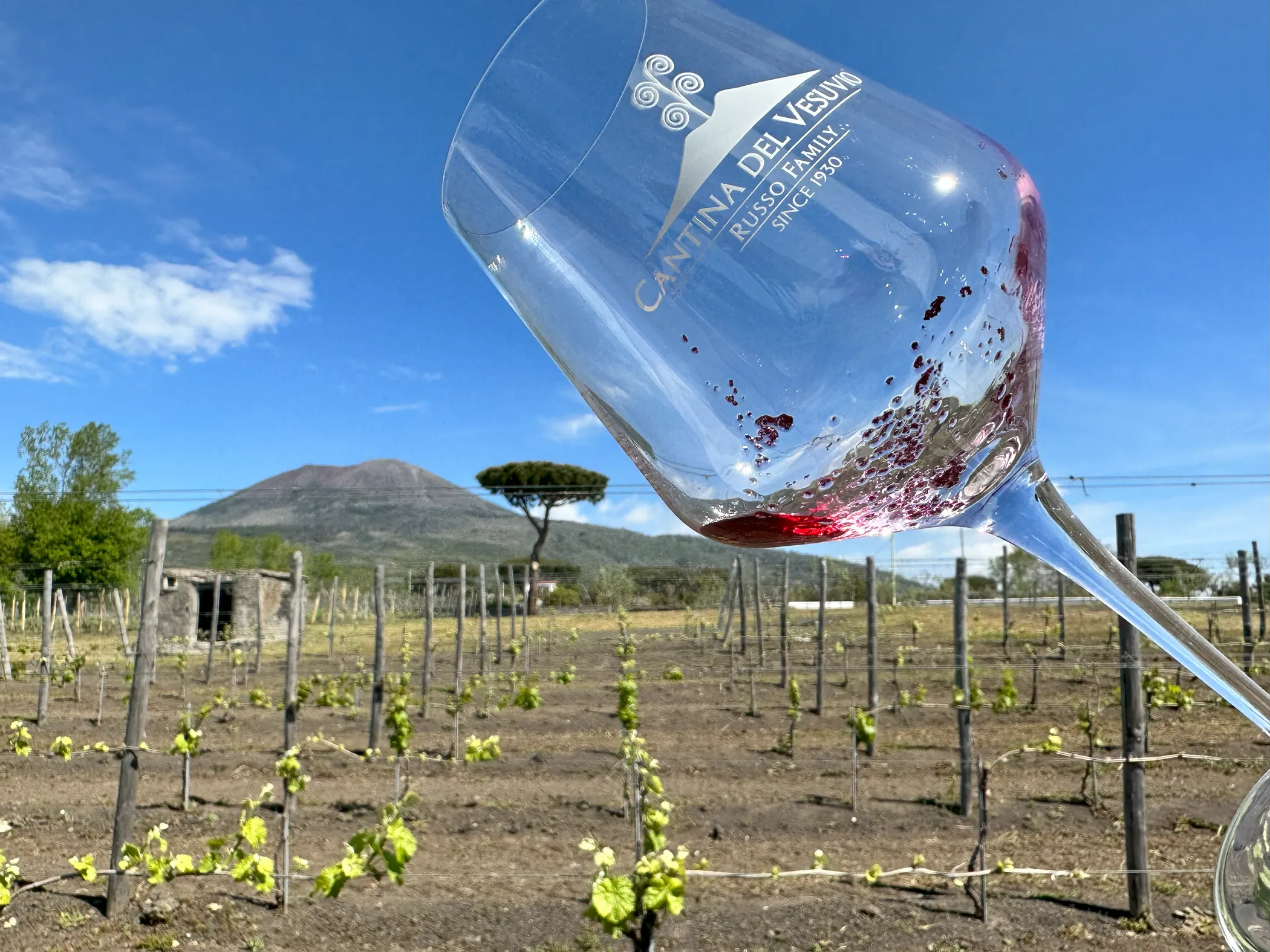 Sediment in Wine glass at Cantina Del Vesuvio