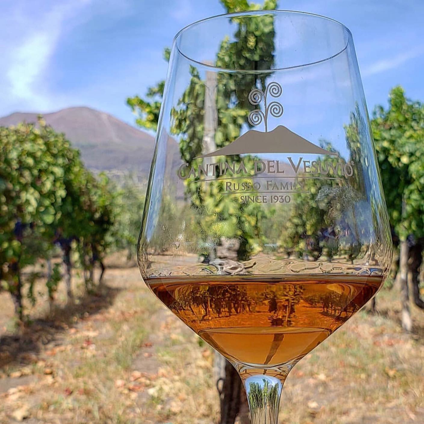 Glass of Lacryma Christi wine at Cantina del Vesuvio
