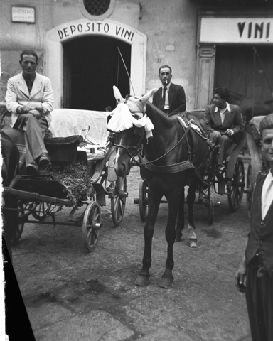 Very old picture of people and a horse 